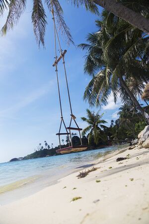 Swing hanging from the tree in Ko Pha Ngan in Thailandの写真素材