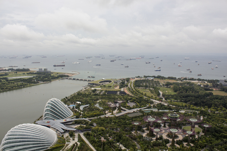 SINGAPORE - AUGUST 5, 2014: Supertree Grove at Gardens by the Bay in Singapore. Supertrees are tree-like structures with heights that range between 25 and 50 metres.のeditorial素材