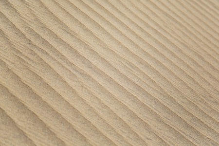 Close up view at sand textureの写真素材