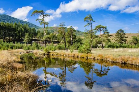 View at small river at Zlatibor mountain in Serbiaの写真素材
