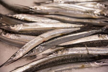 Garfish on the Sydney Fish Market. 52 tonnes of seafood are selling at auction on this market every day.の写真素材
