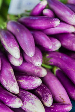Eggplants on the marketの写真素材