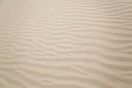 Close up view at sand textureの写真素材