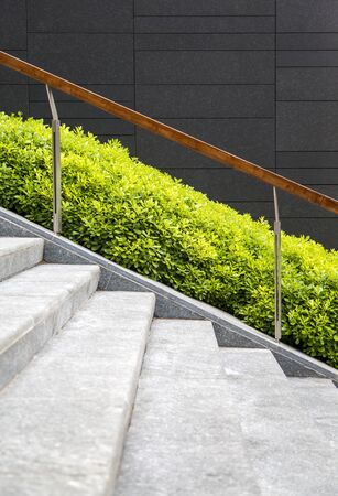 Detail of the stairway by the green grassの写真素材