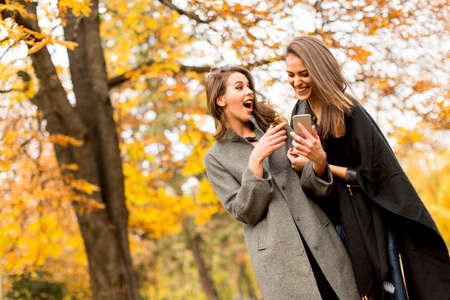 Pretty young women in the autumn park