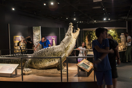 NEW YORK, USA - JULY 31, 2016: Unidentified people at  American Museum of Natural History in New York. Museum is established at 1869 and today is one of the largest museums in the world.のeditorial素材