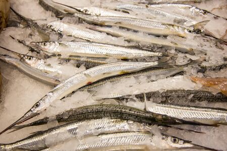 Garfish on the Sydney Fish Market. 52 tonnes of seafood are selling at auction on this market every...