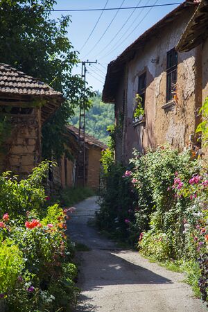 Closeup of the old village from Serbiaの写真素材