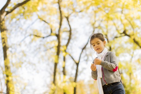 Cute little girl in the park at autumnの写真素材
