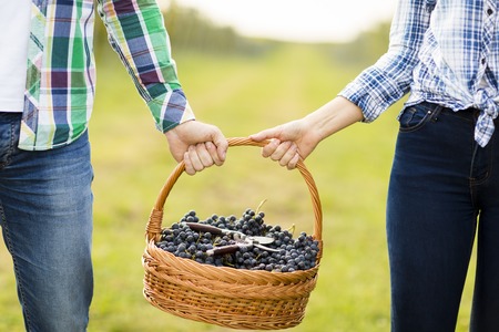 Couple carries a basket of grapesの写真素材