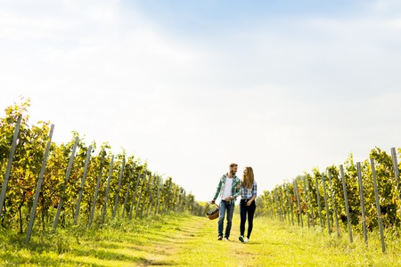 Couple of winegrowers walking in vineyardの写真素材