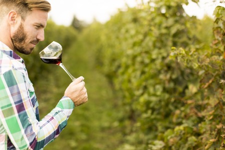 Young winemaker tasting red wine in vineyard
