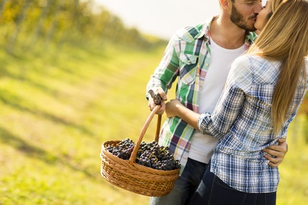 Photo of a young couple kissing in a vineyard.の写真素材