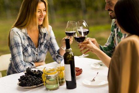 Young people enjoy dinner and wine tasting in the vineyardの写真素材