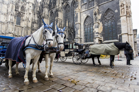 Stephansdom in Viennaの写真素材