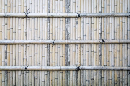 Closeup view of detail from the bamboo fenceの写真素材