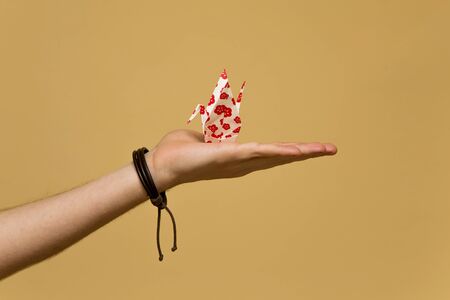 View at the traditional japanese origami swan in female handの写真素材