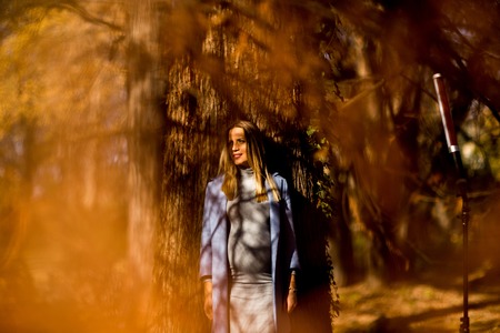 View at young pregnant woman posing in autumn parkの写真素材