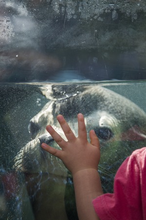TOKYO, JAPAN - OCTOBER 12, 2016: Unidentified children with sea lion at Ueno zoo in Tokyo, Japan. It is Japan oldest zoo, opened on March 20, 1882のeditorial素材