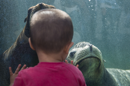 TOKYO, JAPAN - OCTOBER 12, 2016: Unidentified children with sea lion at Ueno zoo in Tokyo, Japan. It is Japan oldest zoo, opened on March 20, 1882のeditorial素材