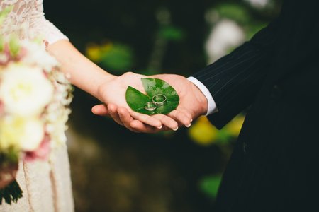 Newlyweds hold wedding rings to hands on the green leafの写真素材