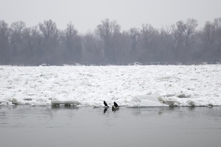 View at the frozen ice river in the winterの写真素材