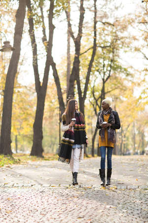 Young multiracial friends walking around autumn park, talking and carry coffee to go in the handsの写真素材