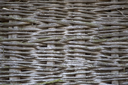 Closeup of the interlacing pattern of the reedの写真素材