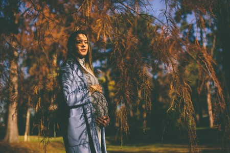 Pregnant woman in the autumn parkの写真素材