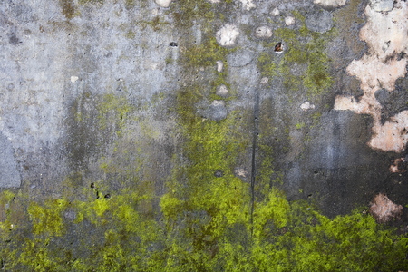 Closeup detail of the old stone wallの写真素材