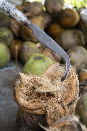 Coconuts on the market in Mekong Delta, Vietnamの写真素材