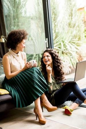 White and african american  women sit at home , using laptop and have funの写真素材