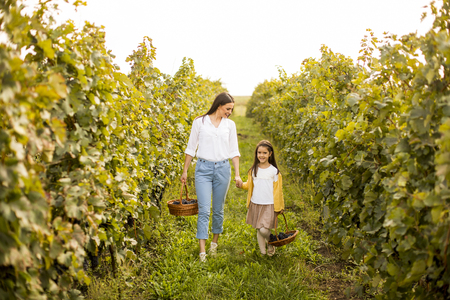 Young mother and her cute girl have fun in autumn vineyard by dayの写真素材