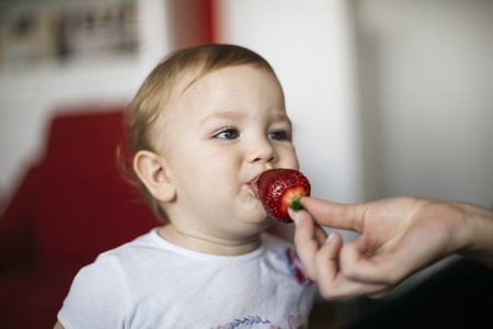 Portrait of little girl eats strawberries from mother handsの写真素材