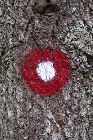 Red and white circle trail blazing sign in the forestの写真素材