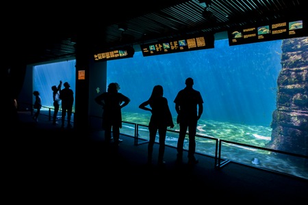 GENOA, ITALY - JUNE 2, 2015: Unidentified people at Genoa aquarium. The Aquarium of Genoa is the largest aquarium in Italy and among the largest in Europe.のeditorial素材