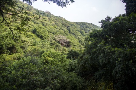 Detail from the Elephanta Island, Mumbai, Indiaの写真素材