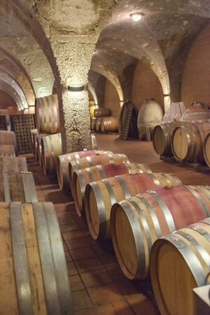 Close up view at lot of barrels in storage