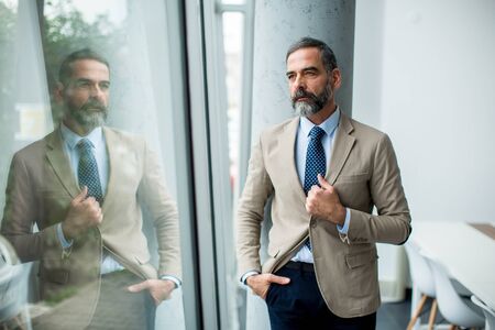Portrait of bearded handsome middle-aged businessmanの写真素材
