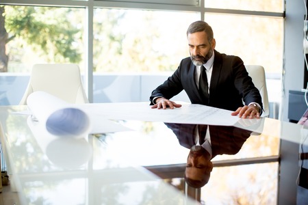 Handsome middle-aged businessman  analyzing documents in modern office