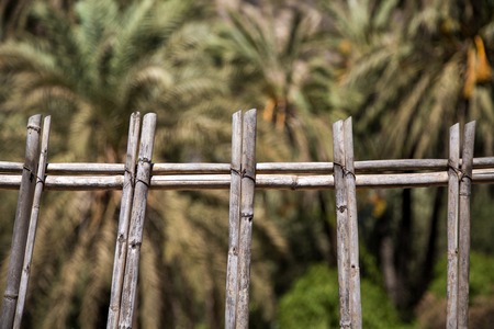 Closeup detail of the old wooden fence in Agadir, Morocco