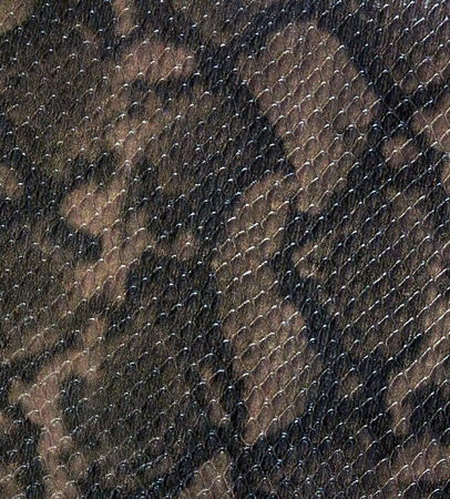Closeup detail of the snake skin leather