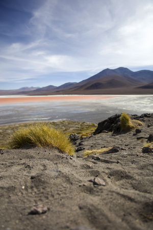 Laguna Colorada at Eduardo Avaroa Andean Fauna National Reserve in Boliviaの写真素材