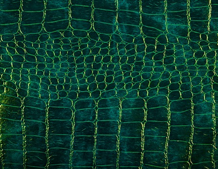 Closeup detail of the snake skin leatherの写真素材