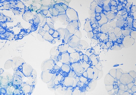 Closeup view at the foam bubbles backdrop