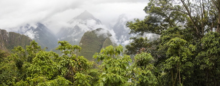 Detail of the wilderness around Machu Picchu Inca citadel in Peruの写真素材