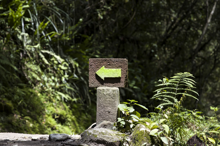 Detail of the Machu Picchu Inca citadel in Peruの写真素材