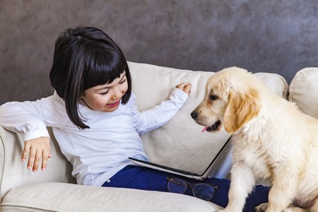 Cute little girl with laptop and gold retriever on sofa in the roomの写真素材