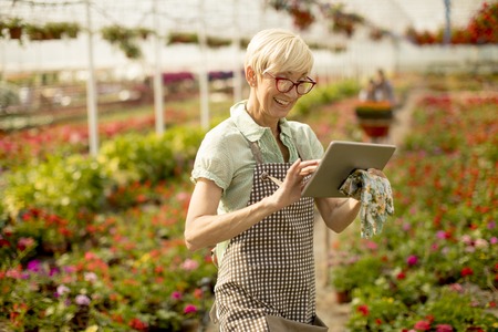 Portrait of senior woman using tablet in flower gardenの写真素材