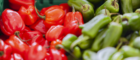 Close up view at fresh organic pepper on local farm markeの写真素材